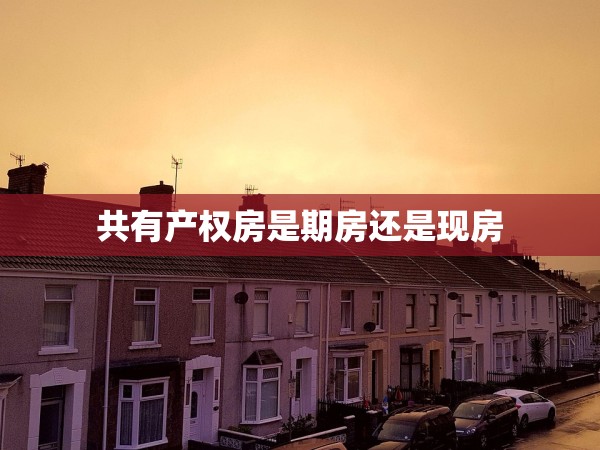 共有產(chǎn)權(quán)房是期房還是現(xiàn)房