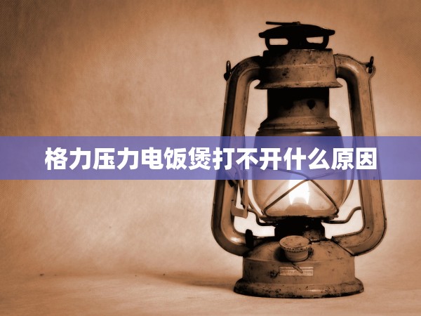 格力壓力電飯煲打不開什么原因