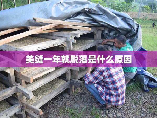 美縫一年就脫落是什么原因