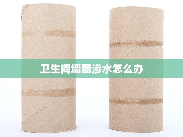 衛(wèi)生間墻面滲水怎么辦