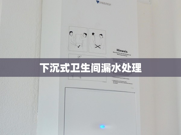 下沉式衛(wèi)生間漏水處理