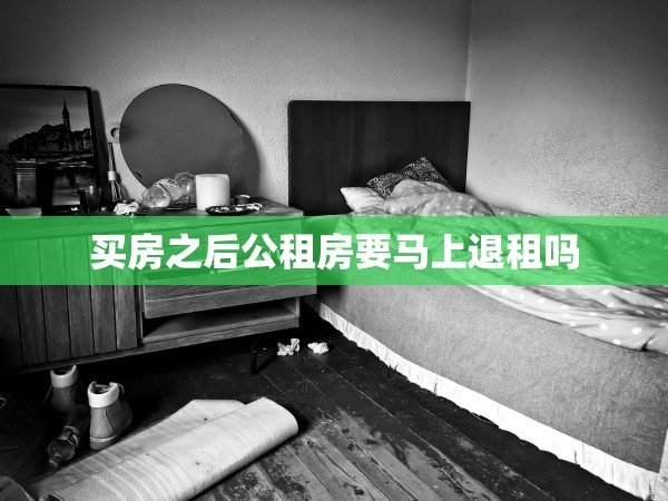 買房之后公租房要馬上退租嗎 買房之后公租房要馬上退租嗎