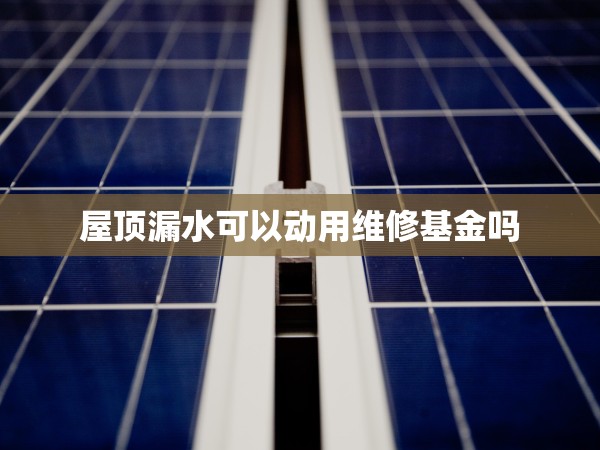 屋頂漏水可以動用維修基金嗎 屋頂漏水可以動用維修基金嗎