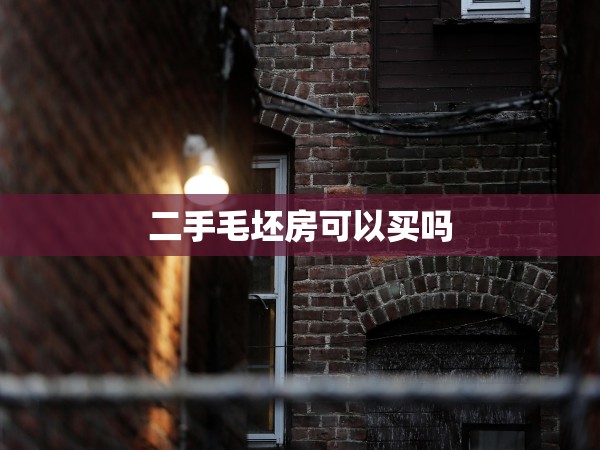 二手毛坯房可以買嗎