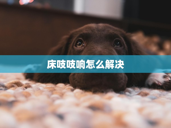 床吱吱響怎么解決