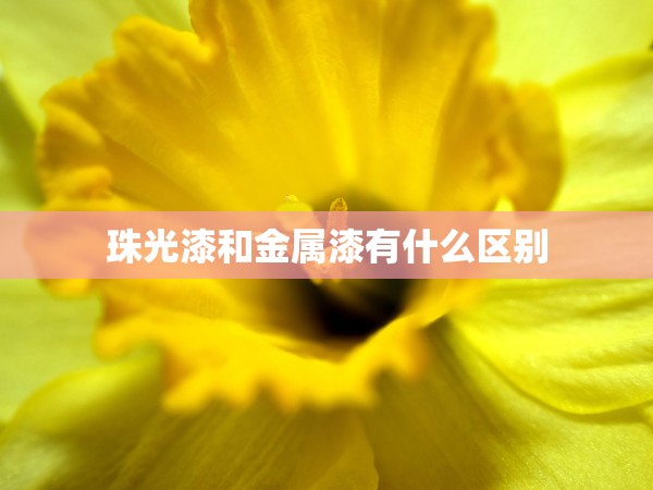 珠光漆和金屬漆有什么區(qū)別 珠光漆和金屬漆有什么區(qū)別