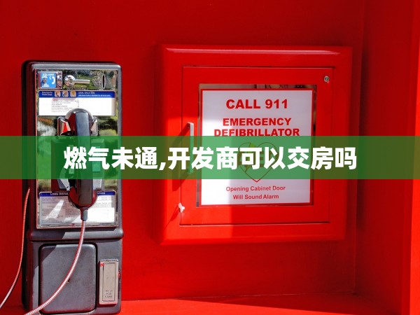 燃?xì)馕赐?開發(fā)商可以交房嗎