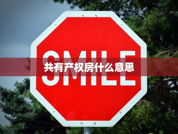共有產(chǎn)權(quán)房什么意思 共有產(chǎn)權(quán)房什么意思