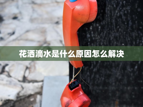 花灑滴水是什么原因怎么解決