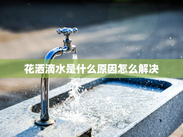 花灑滴水是什么原因怎么解決